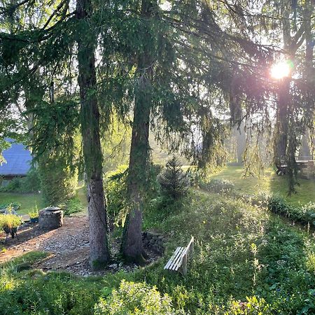 Liebevoll Eingerichtetes Ferienhaus Mit Grossem Garten 克劳斯塔尔-采勒费尔德 外观 照片