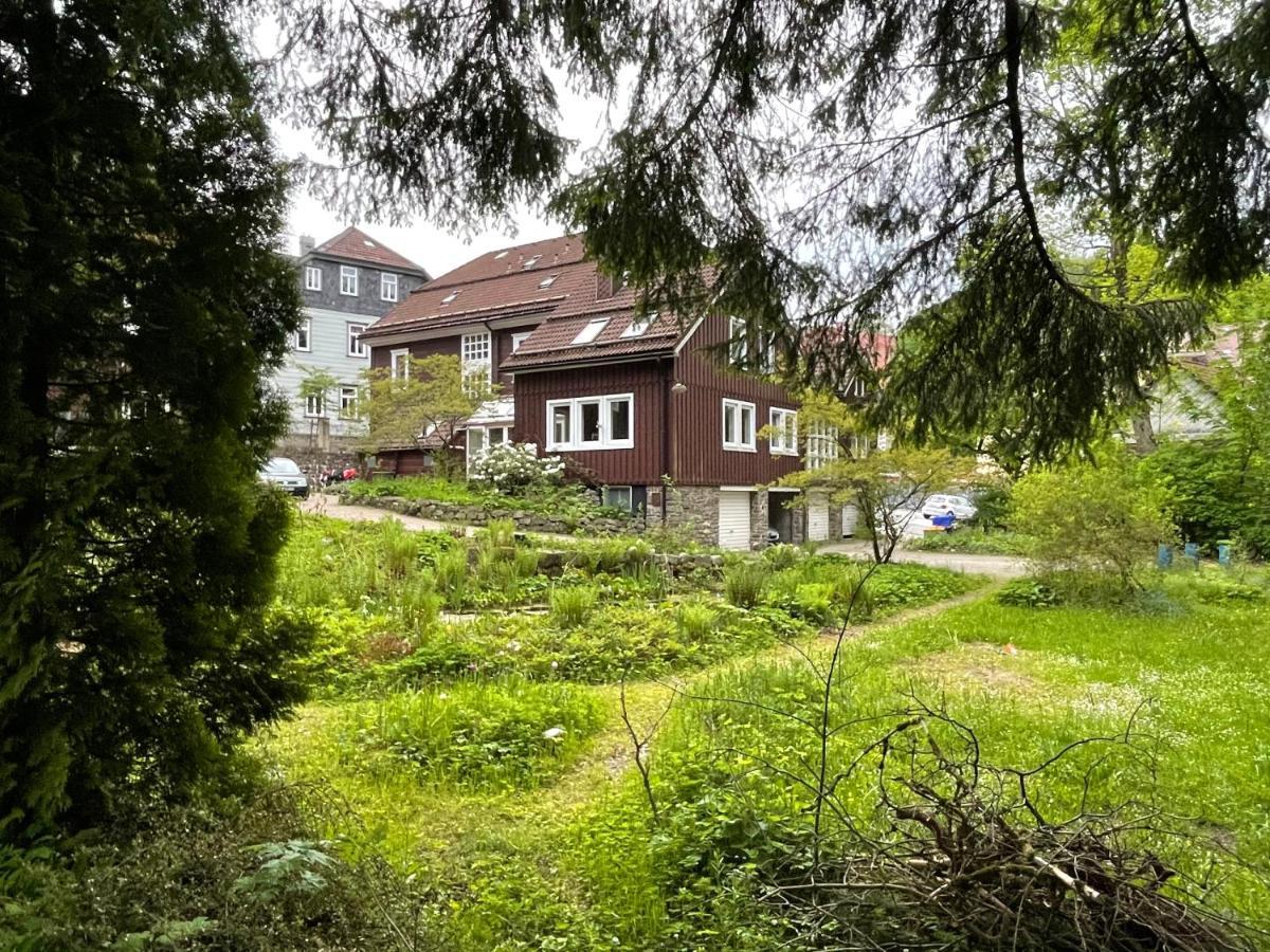 Liebevoll Eingerichtetes Ferienhaus Mit Grossem Garten 克劳斯塔尔-采勒费尔德 外观 照片