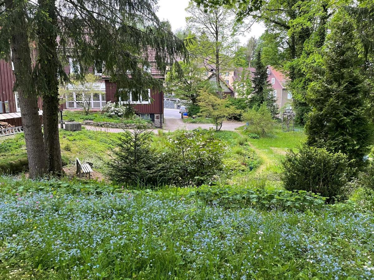 Liebevoll Eingerichtetes Ferienhaus Mit Grossem Garten 克劳斯塔尔-采勒费尔德 外观 照片