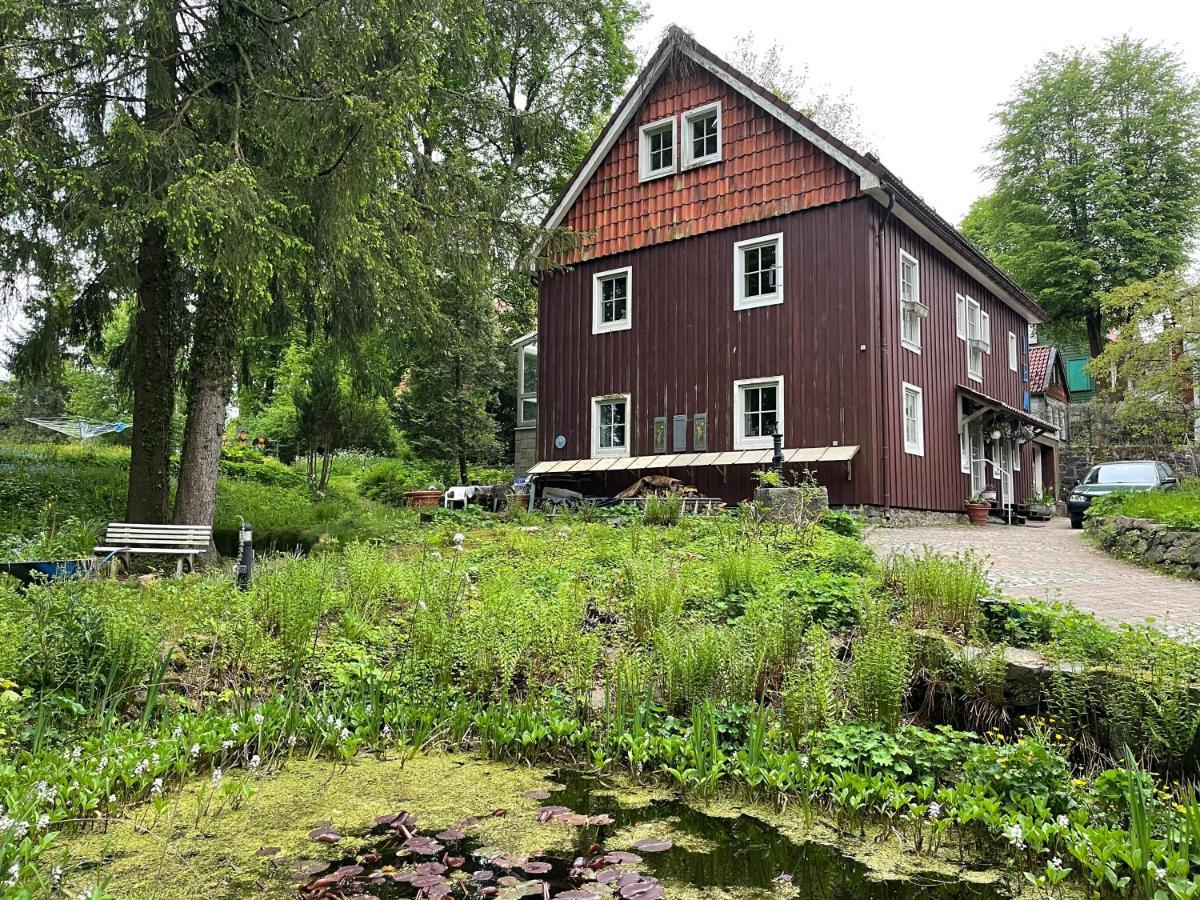 Liebevoll Eingerichtetes Ferienhaus Mit Grossem Garten 克劳斯塔尔-采勒费尔德 外观 照片