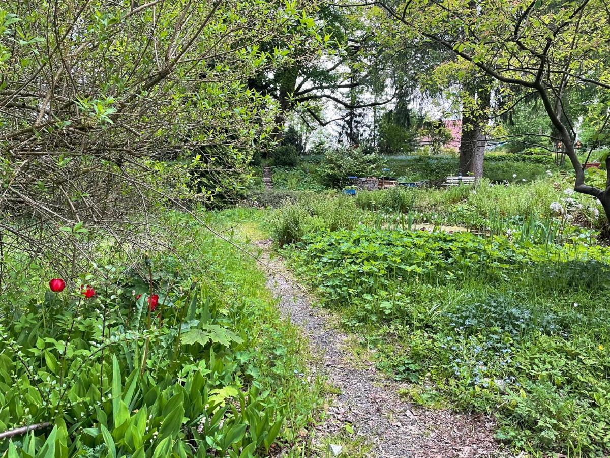 Liebevoll Eingerichtetes Ferienhaus Mit Grossem Garten 克劳斯塔尔-采勒费尔德 外观 照片
